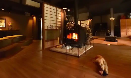 スタンダードプラン